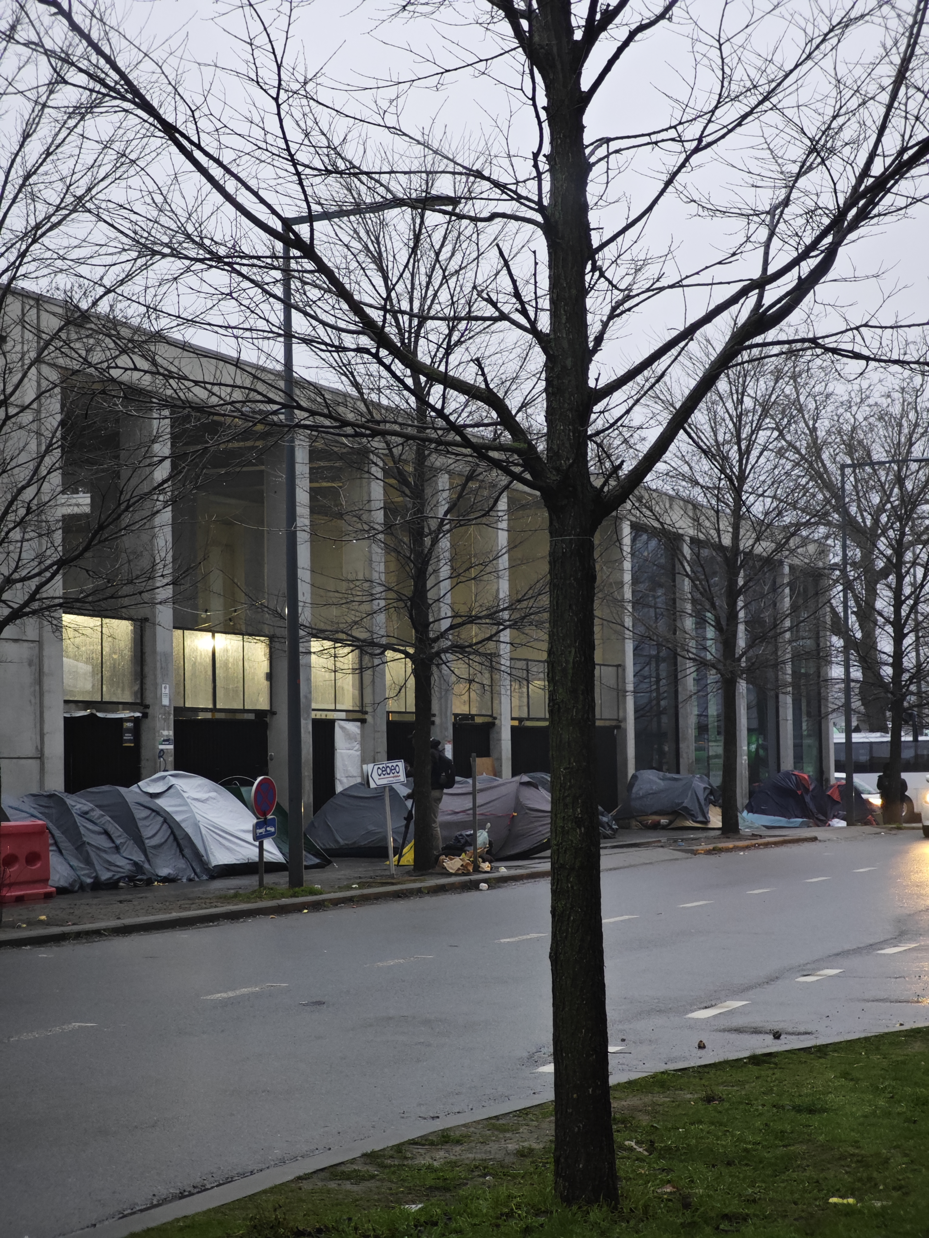 migratiebeleid, Ann Van Bossuyt, nieuws