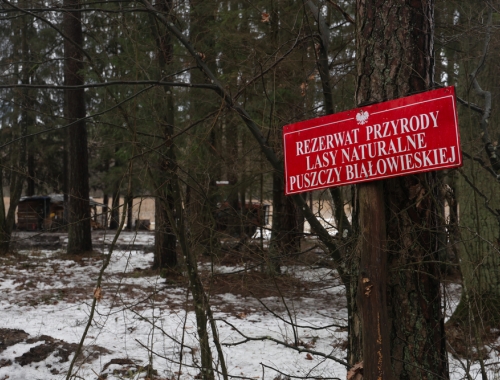 Gemilitariseerde grens tussen Polen en Wit-Rusland Natuurpark Kozie Borki