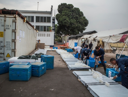 AZG zet grote middelen in om de Congolese autoriteiten bij te staan in hun strijd tegen gele koorts. 