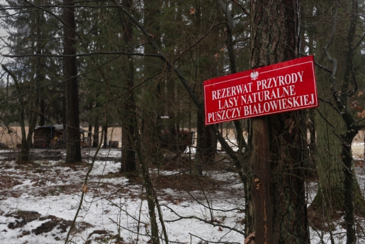 Gemilitariseerde grens tussen Polen en Wit-Rusland Natuurpark Kozie Borki